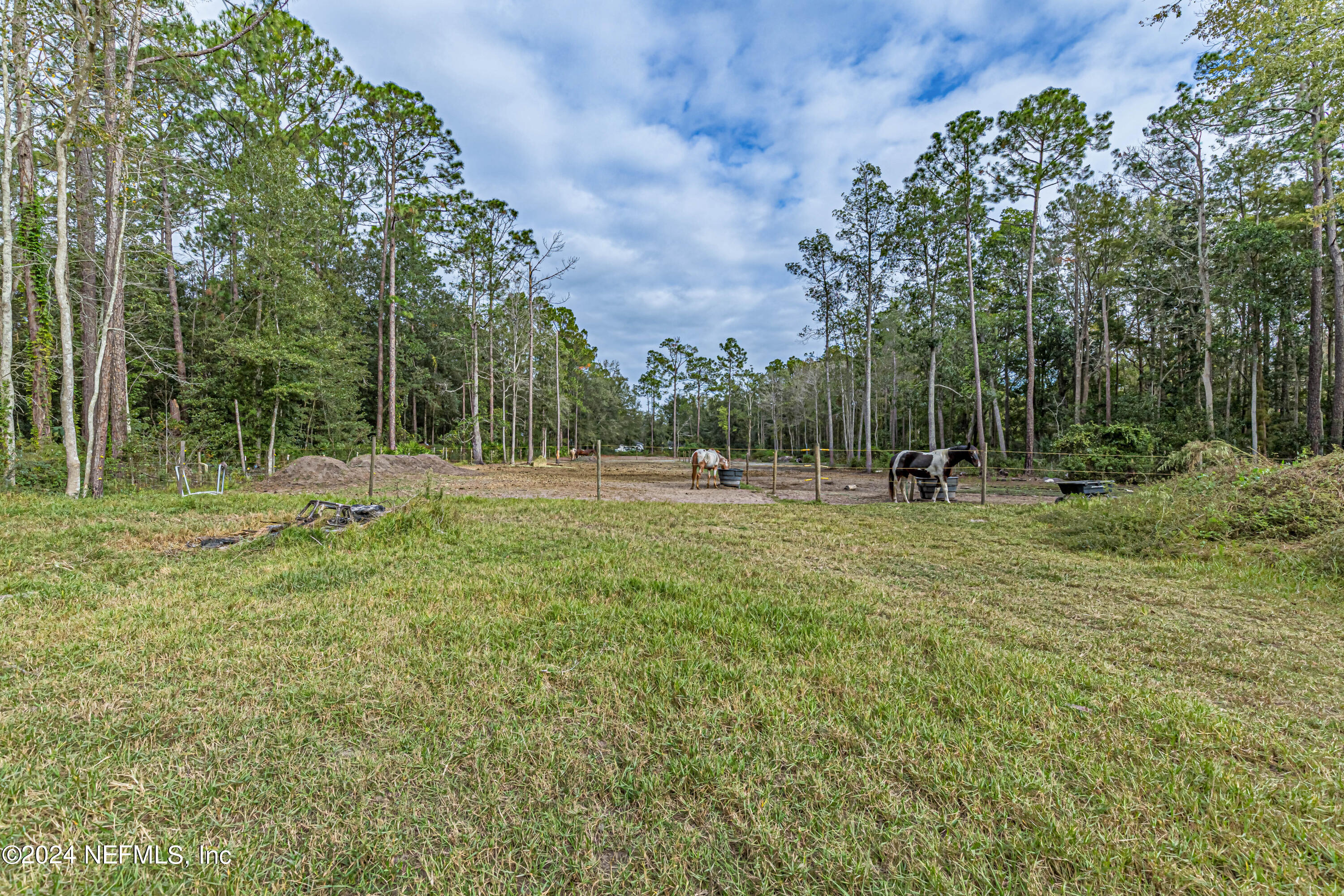 4058 Pinto Road Middleburg, FL 32068 - Photo 3 of 6 a view of outdoor space with green field and trees