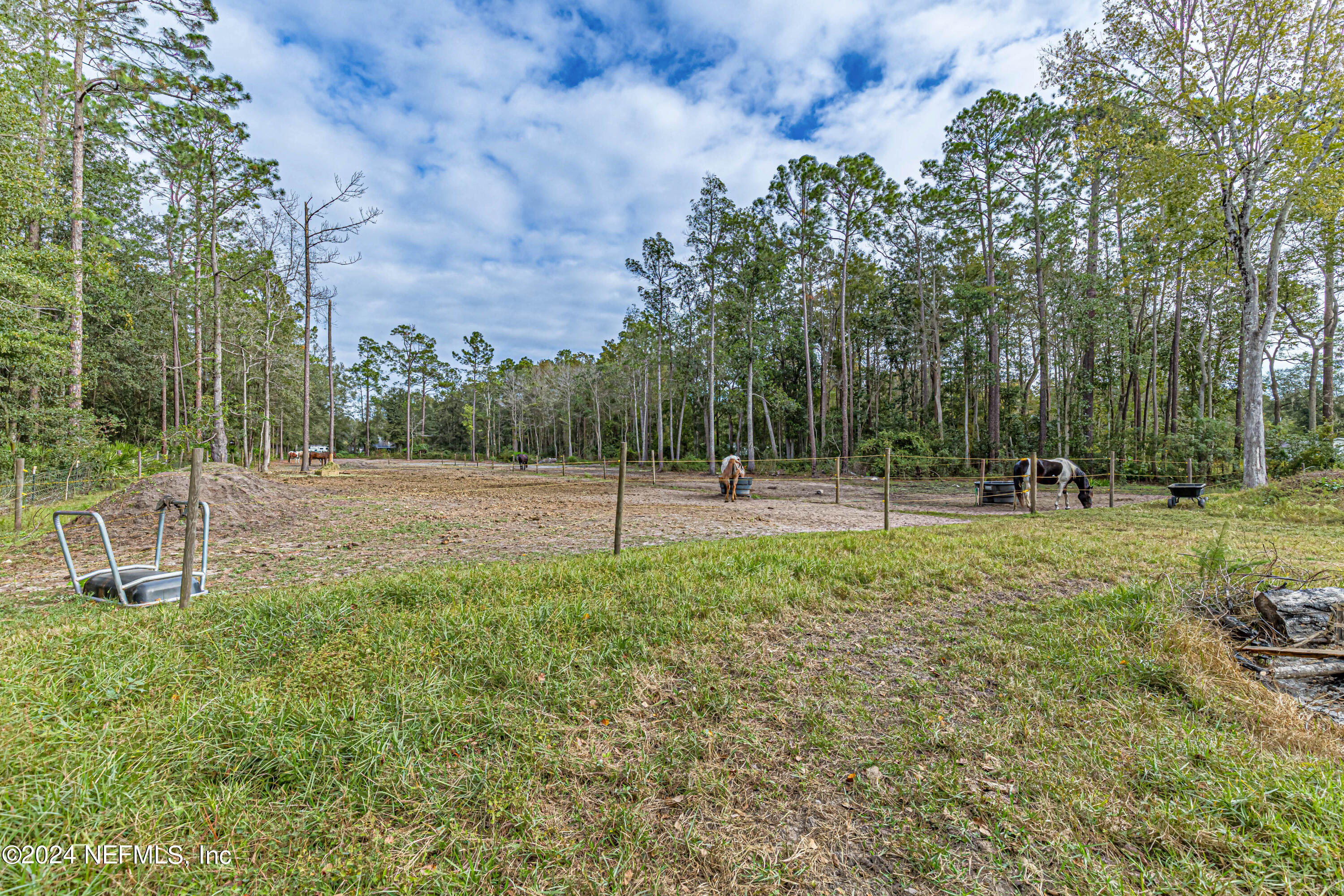 4058 Pinto Road Middleburg, FL 32068 - Photo 4 of 6 a backyard of a house with lots of green space