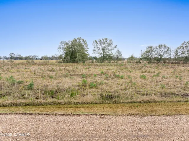 $294,750 | Tbd Saul Drive, Duson, LA 70529