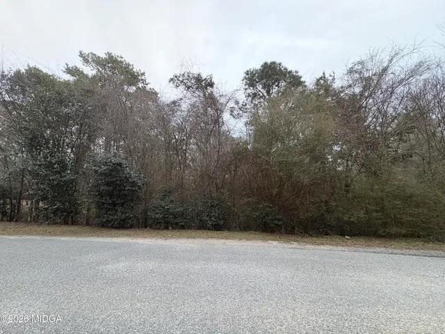 a view of a road with trees in the background