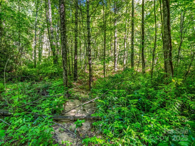 $300,000 | Tbd Climbing Road, Hendersonville, NC 28792