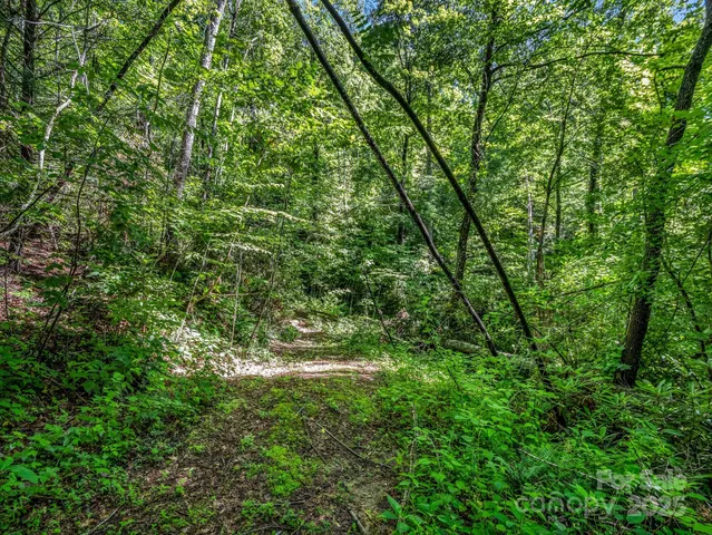 $300,000 | Tbd Climbing Road, Hendersonville, NC 28792