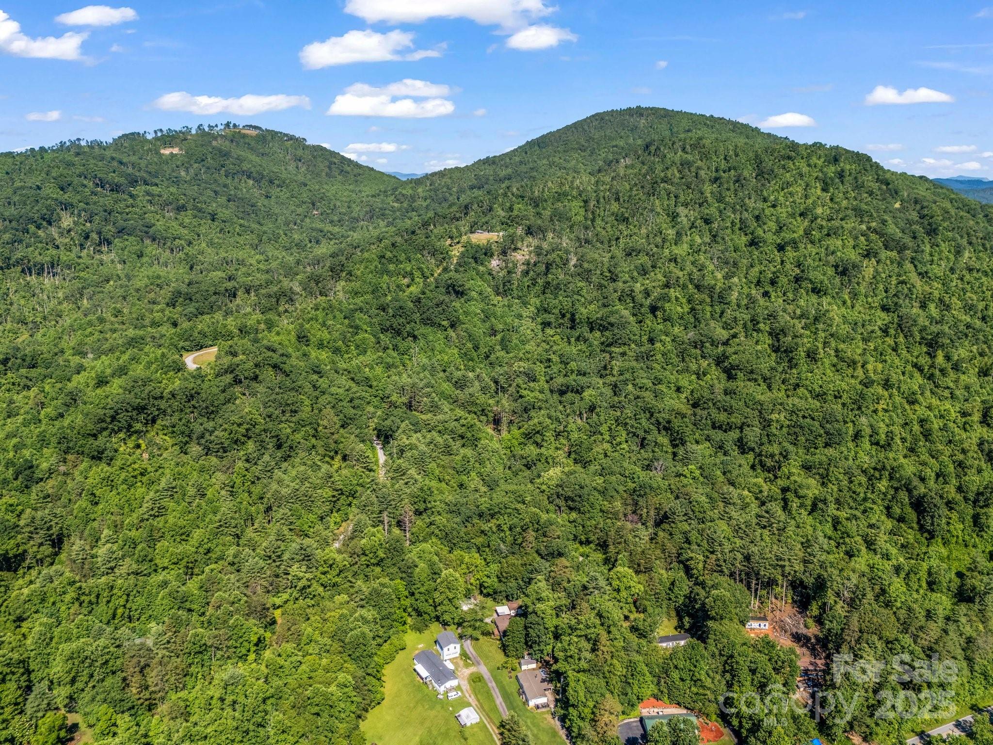 Tbd Climbing Road Hendersonville, NC 28792 - Photo 13 of 30