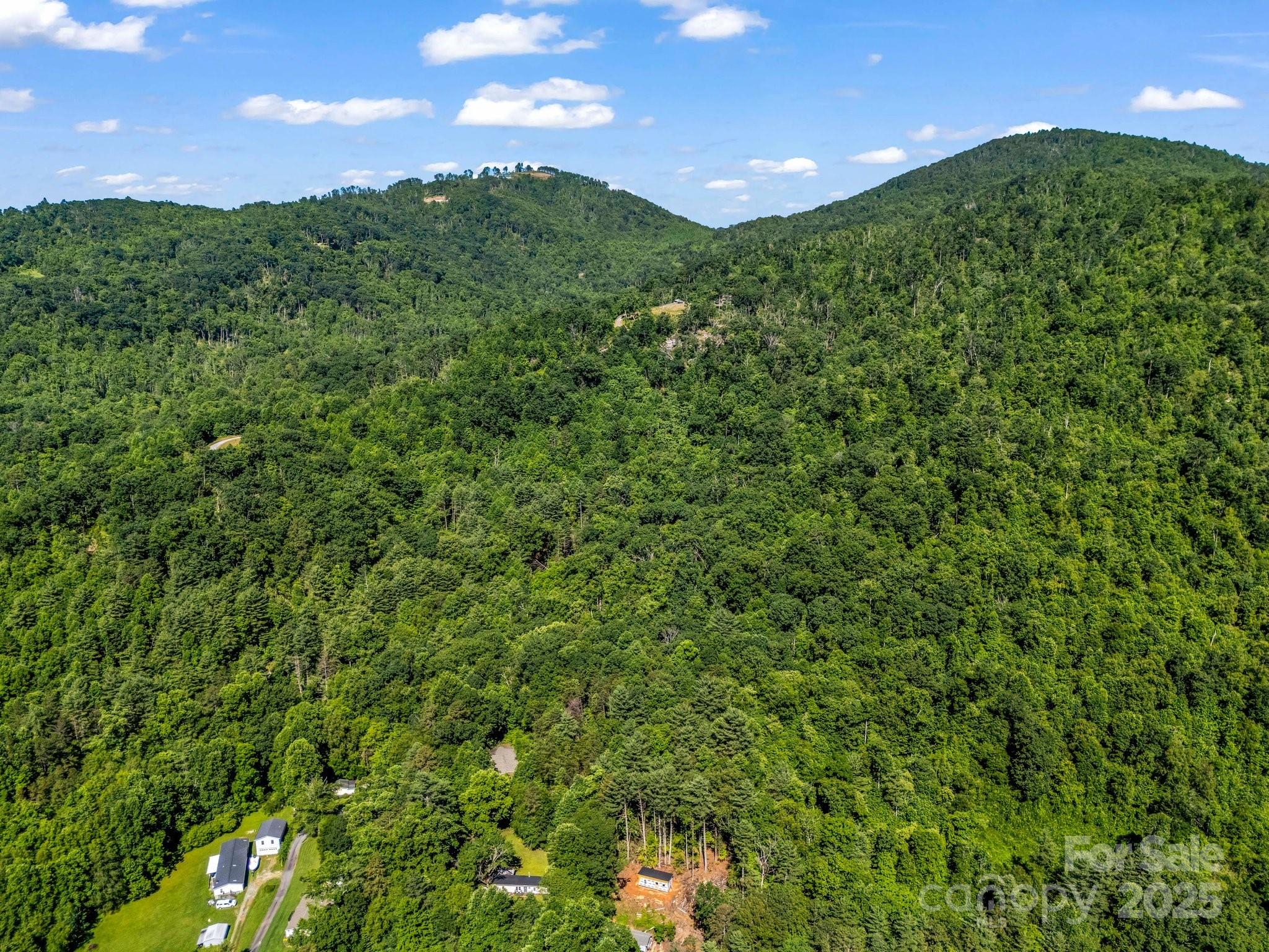 Tbd Climbing Road Hendersonville, NC 28792 - Photo 14 of 30