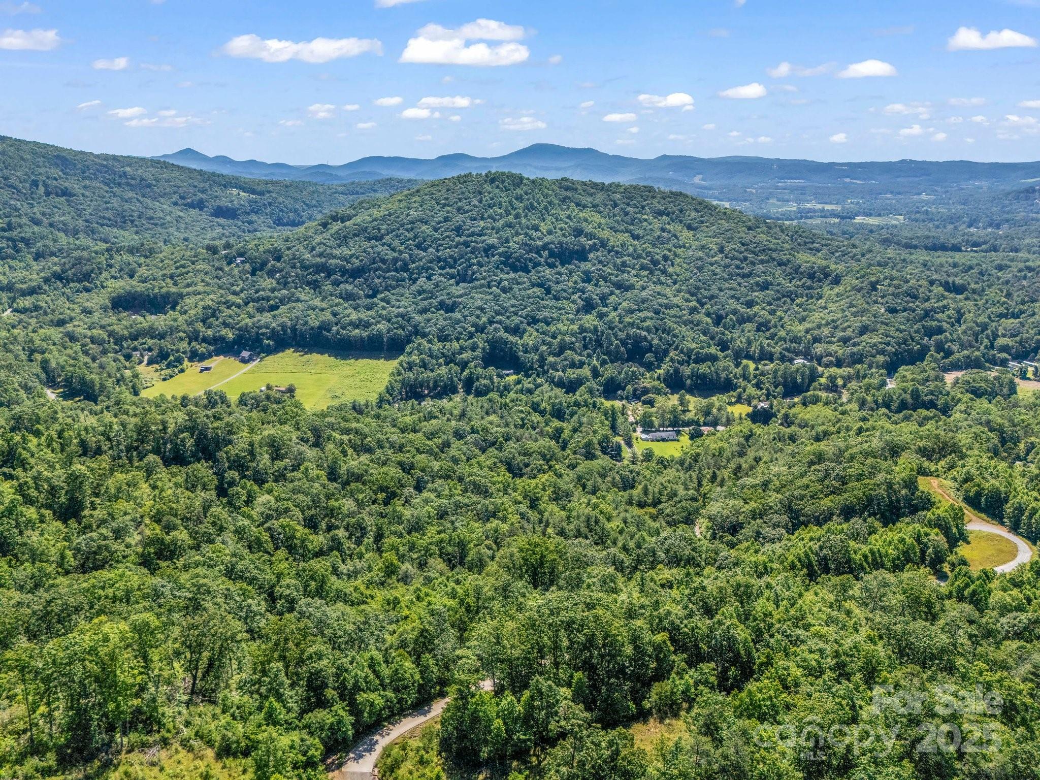 Tbd Climbing Road Hendersonville, NC 28792 - Photo 19 of 30