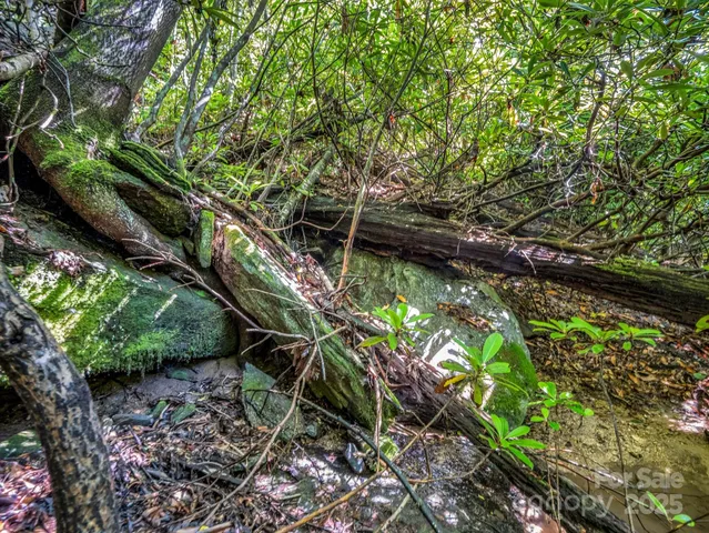 $300,000 | Tbd Climbing Road, Hendersonville, NC 28792