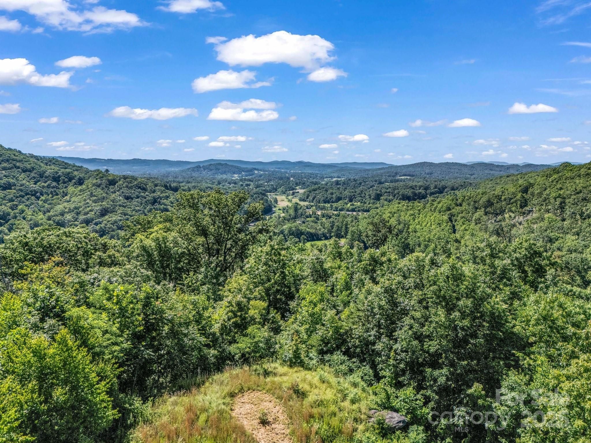Tbd Climbing Road Hendersonville, NC 28792 - Photo 26 of 30