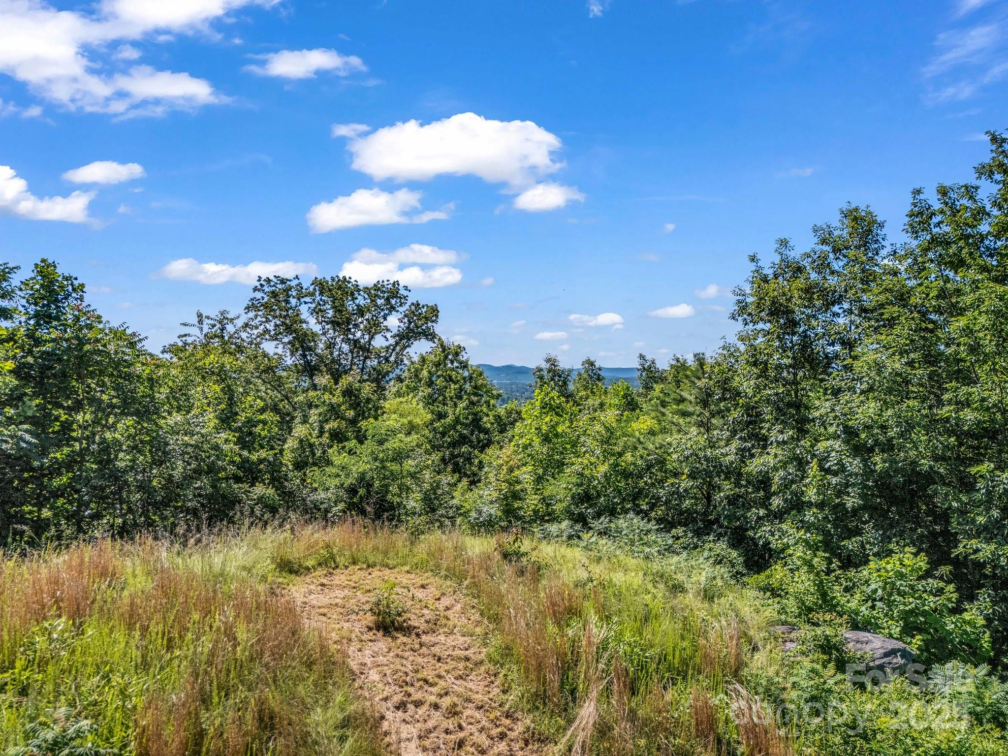 Tbd Climbing Road Hendersonville, NC 28792 - Photo 27 of 30