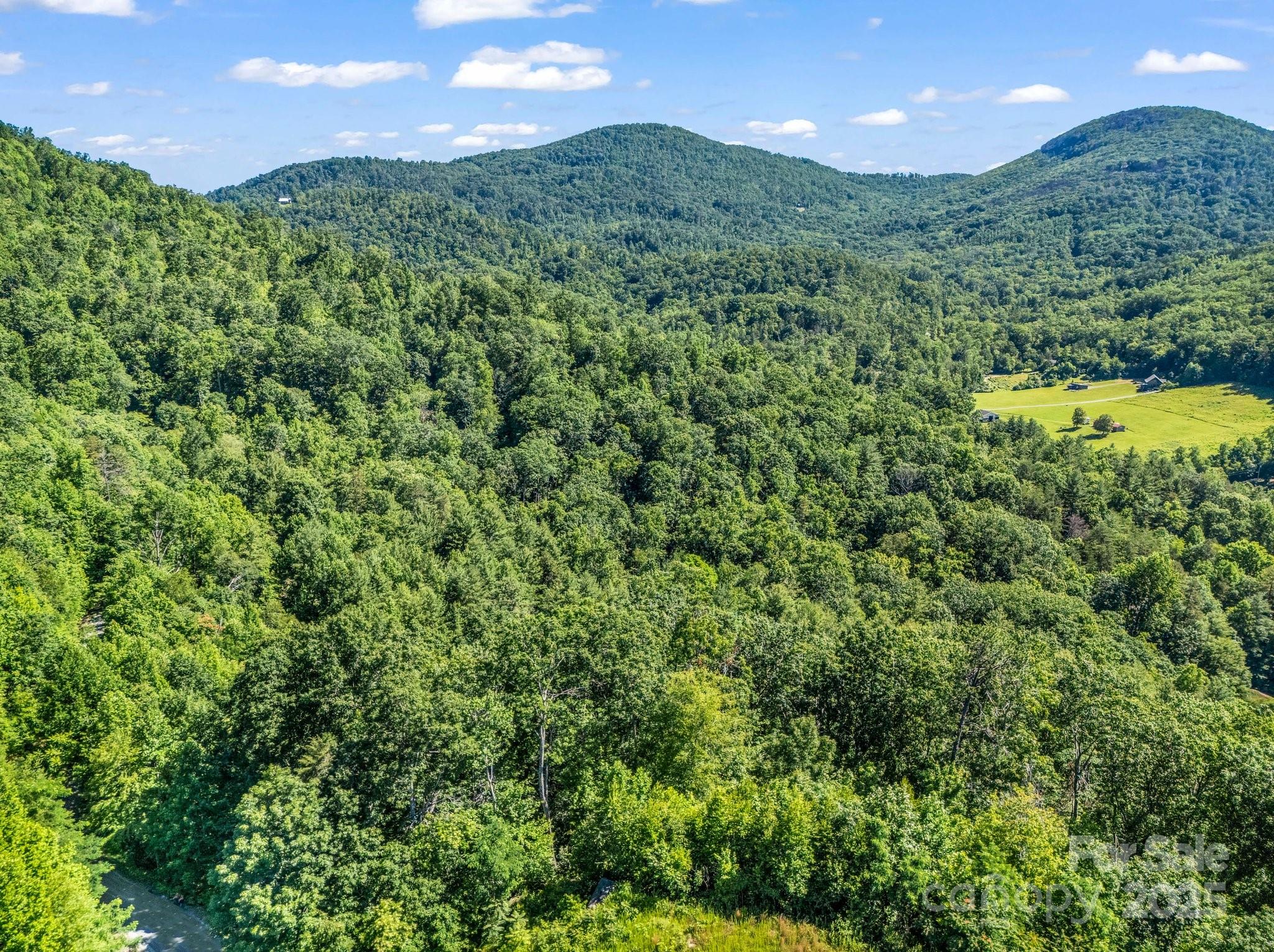 Tbd Climbing Road Hendersonville, NC 28792 - Photo 28 of 30