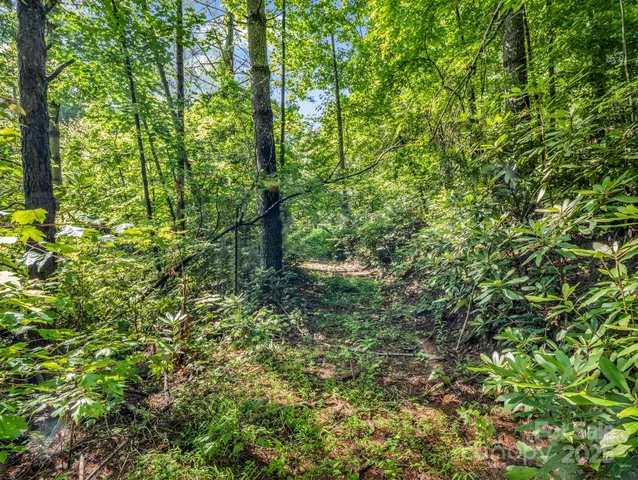 $300,000 | Tbd Climbing Road, Hendersonville, NC 28792