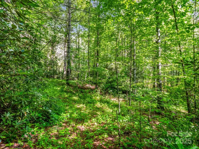 $300,000 | Tbd Climbing Road, Hendersonville, NC 28792