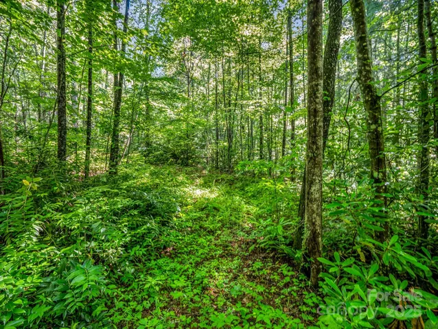 $300,000 | Tbd Climbing Road, Hendersonville, NC 28792