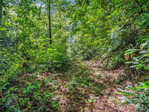 $300,000 | Tbd Climbing Road, Hendersonville, NC 28792