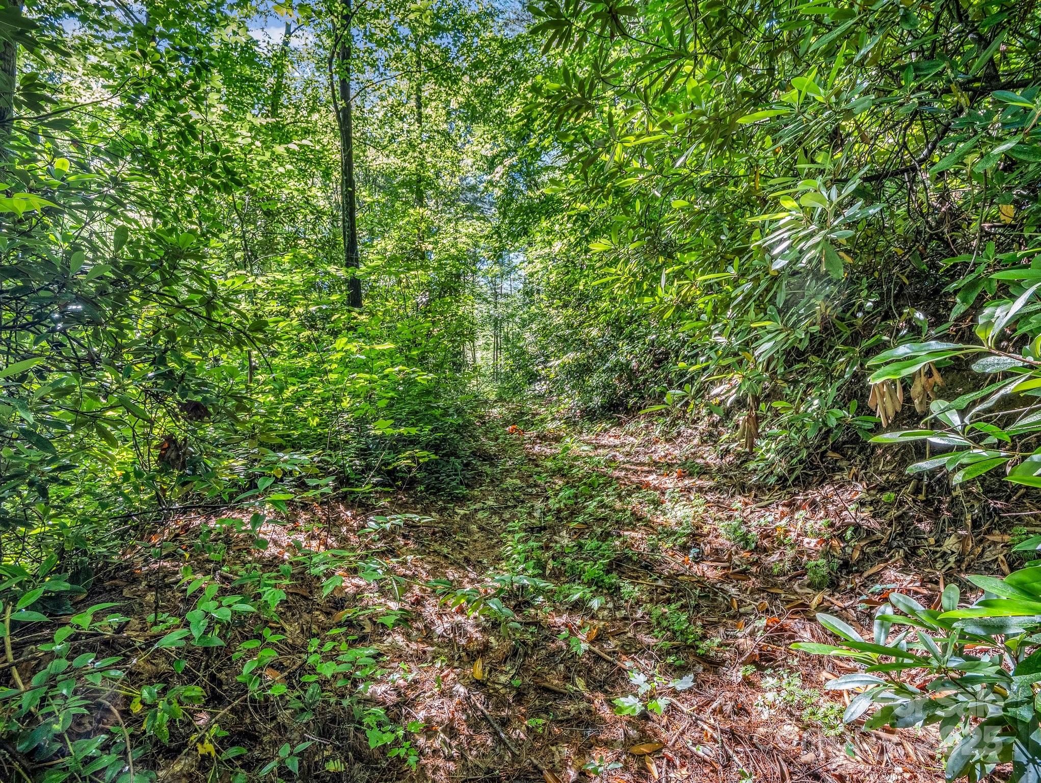 Tbd Climbing Road Hendersonville, NC 28792 - Photo 9 of 30
