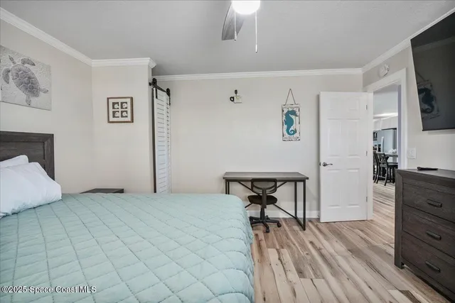 a view of a house with a yard and plant