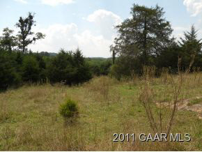 Tbd Seawright Road Mt Sidney, VA 24467 - Photo 5 of 10 Gallery Image 5