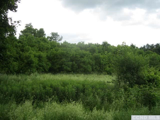 179 Post Hill Road Taghkanic, NY 12521 - Photo 4 of 6 a view of a lush green space