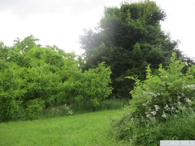 179 Post Hill Road Taghkanic, NY 12521 - Photo 5 of 6 a view of a lush green space