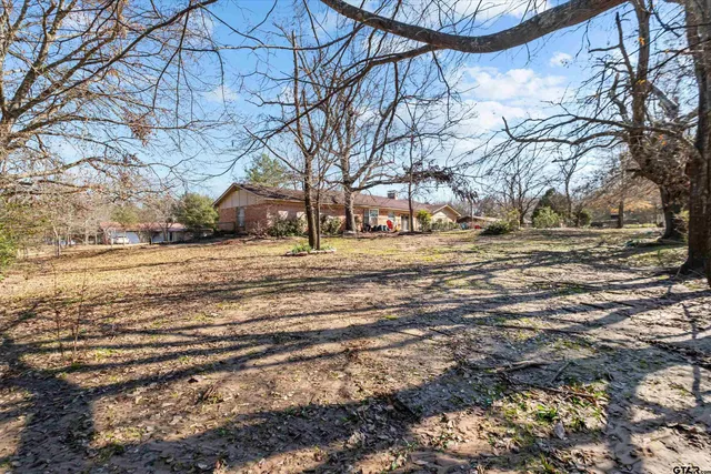a view of a yard with a trees
