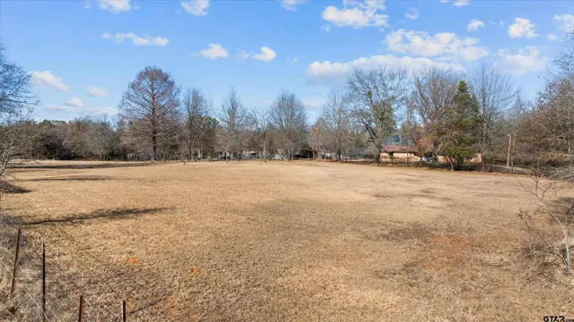 a view of big yard with large trees