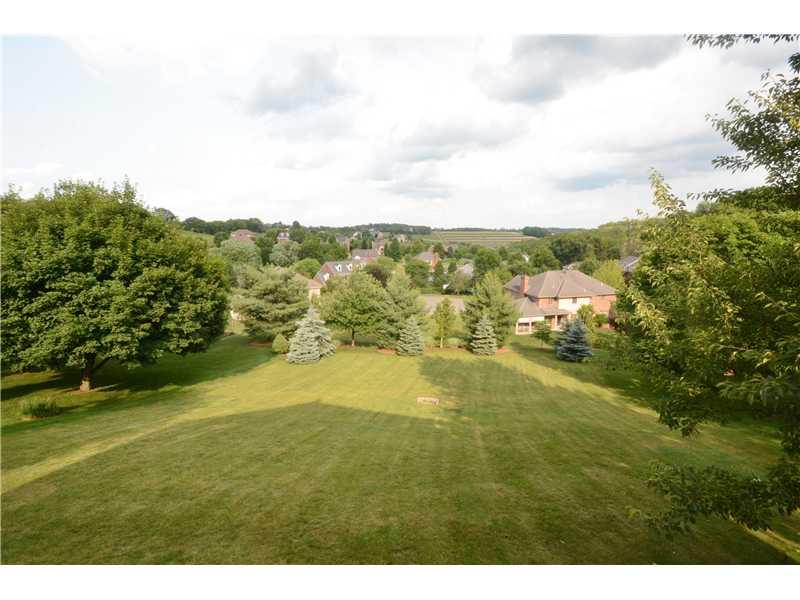 132 Froebe Road Venetia, PA 15367 - Photo 25 of 25 Yard/Garden. Did you say you were looking for a yard?