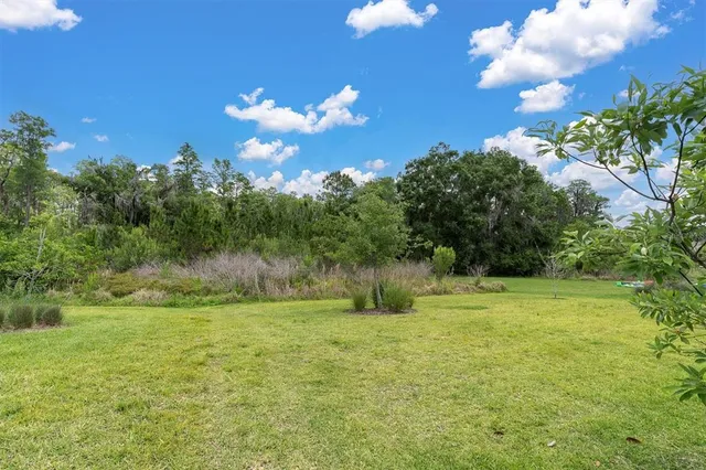 $1,085,000 | 12539 Wetmore Court, Odessa, FL 33556