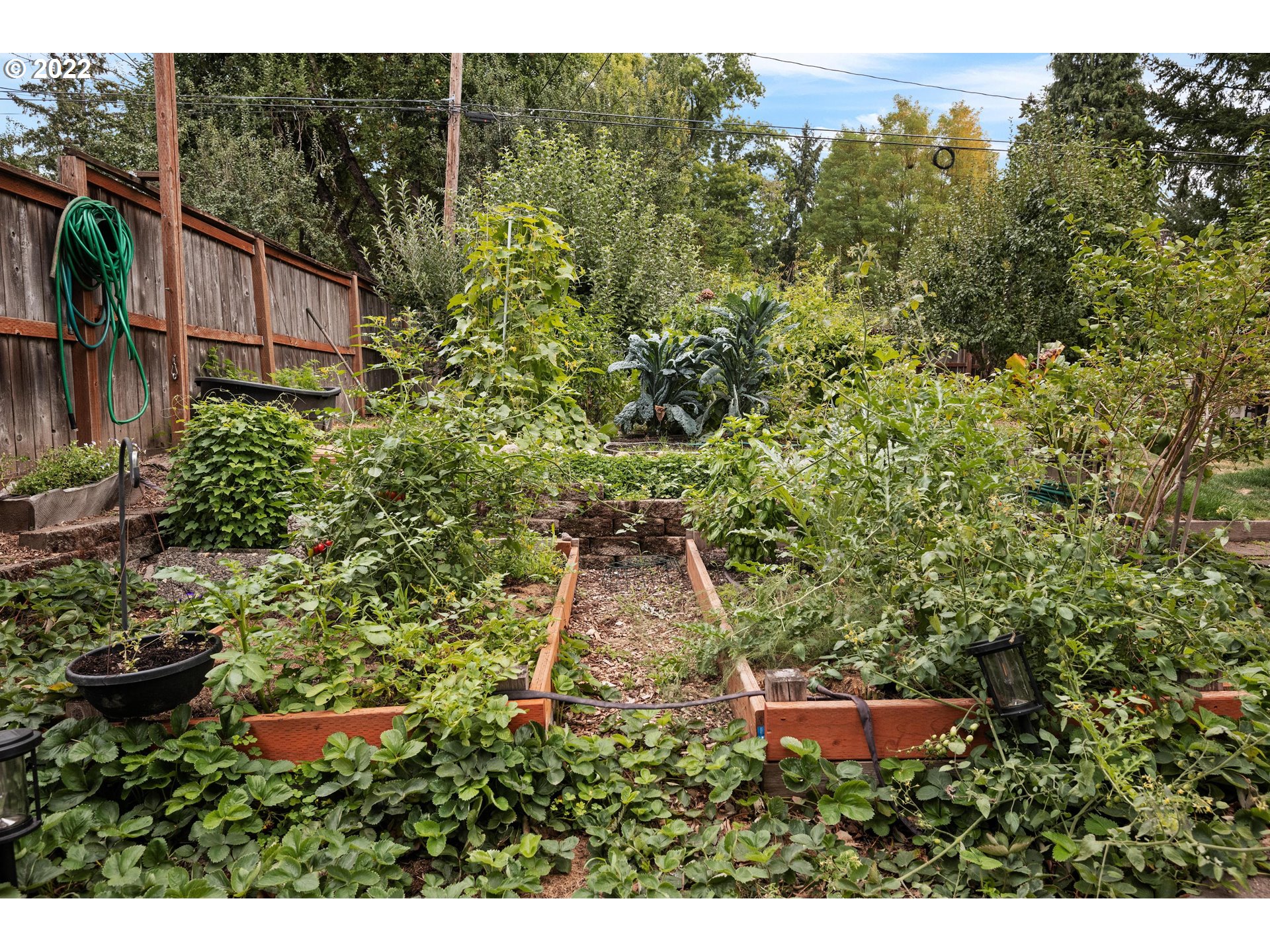 12855 Southwest Douglas Street Portland, OR 97225 - Photo 21 of 32 a view of a wooden house with a yard and plants