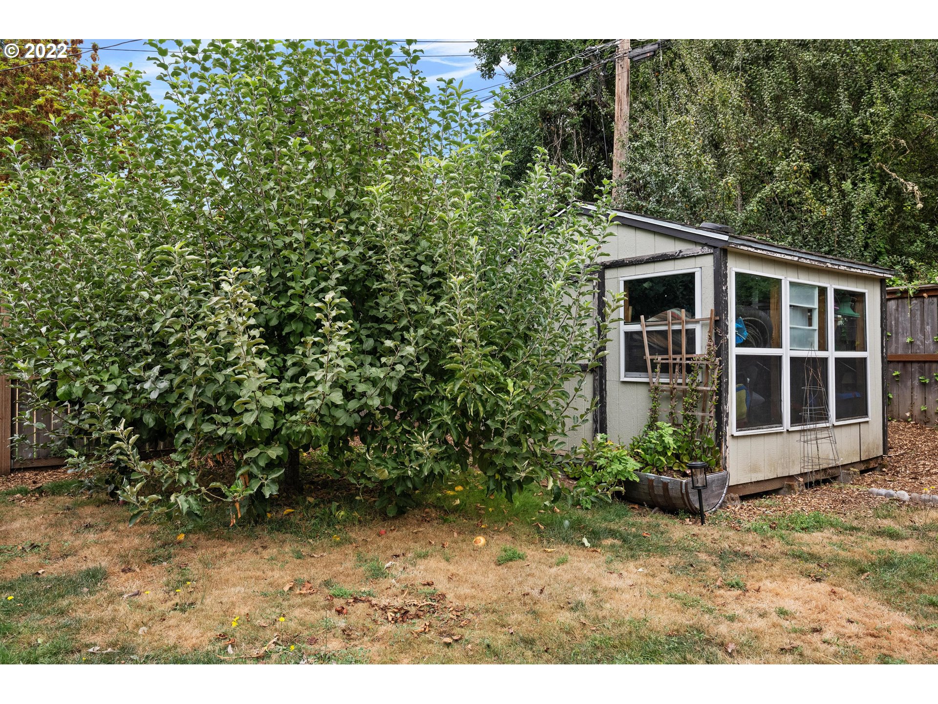 12855 Southwest Douglas Street Portland, OR 97225 - Photo 27 of 32 a view of a backyard with plants and large trees