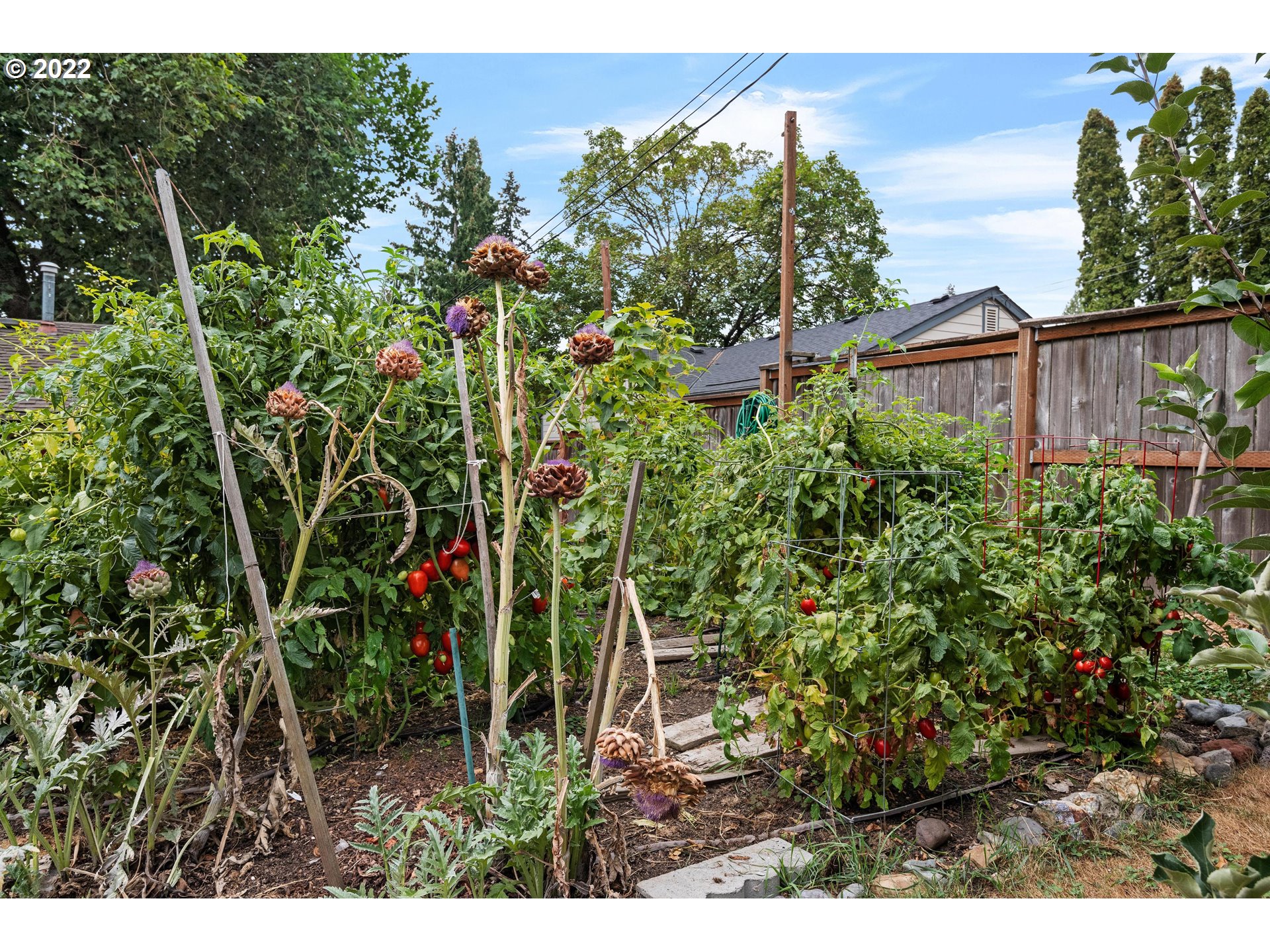 12855 Southwest Douglas Street Portland, OR 97225 - Photo 29 of 32 a backyard of a house with lots of green space