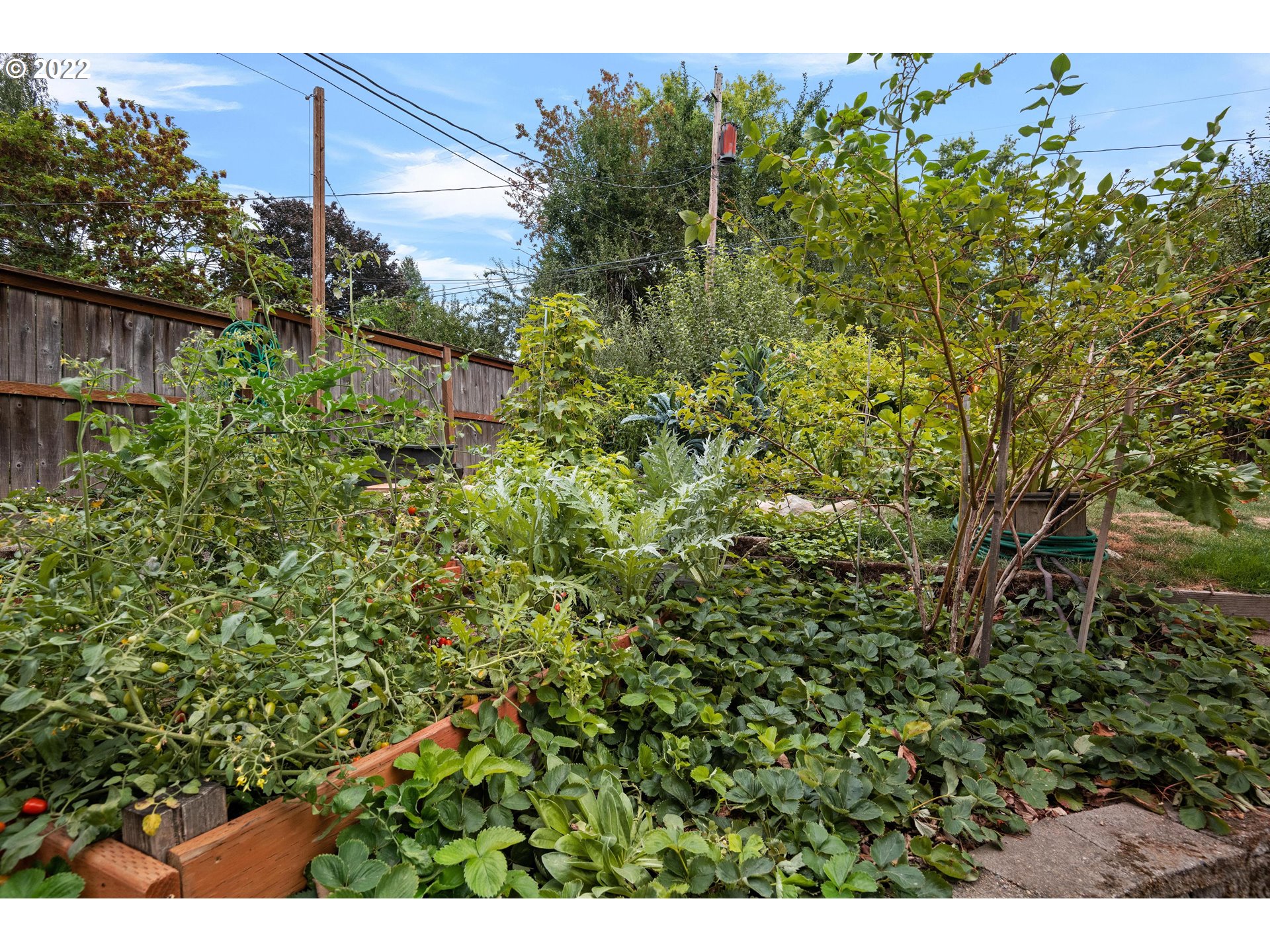 12855 Southwest Douglas Street Portland, OR 97225 - Photo 30 of 32 a view of a garden