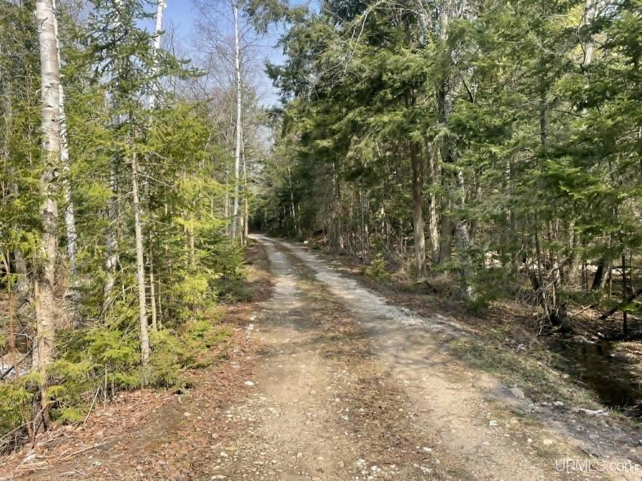 Tbd Peninsula Acres Road Manistique, MI 49854 - Photo 13 of 33