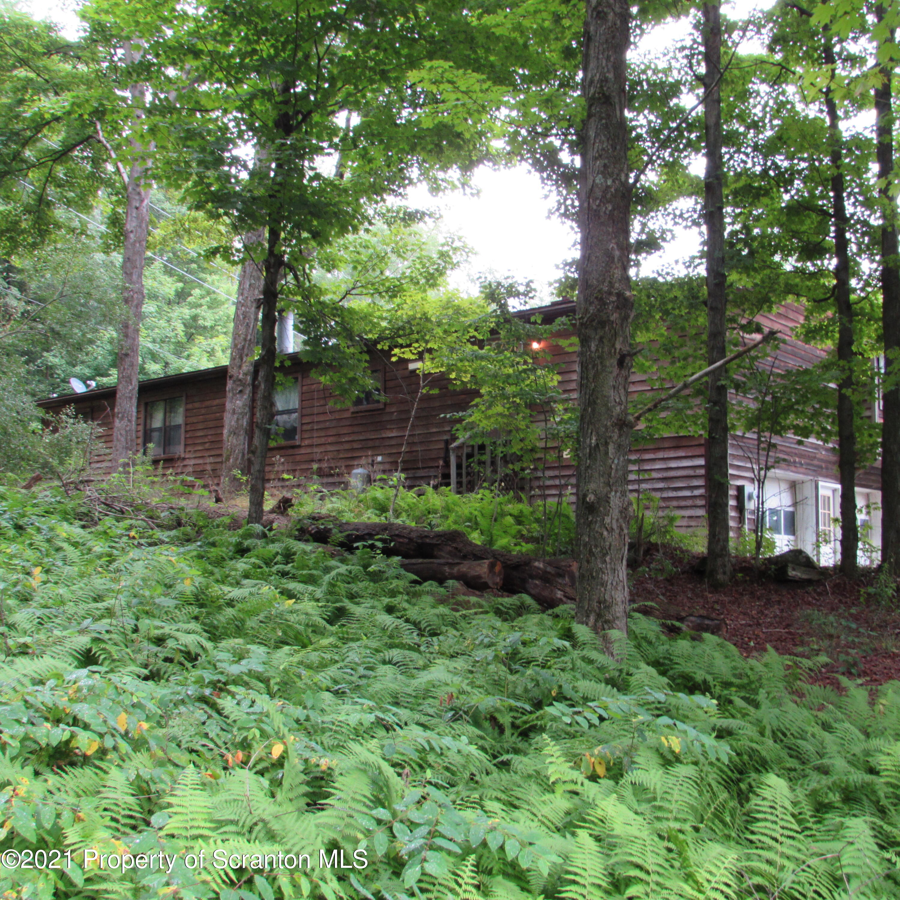 7211 State Rte 3001 Meshoppen, PA 18630 - Photo 4 of 23 a view of a backyard with plants and large trees