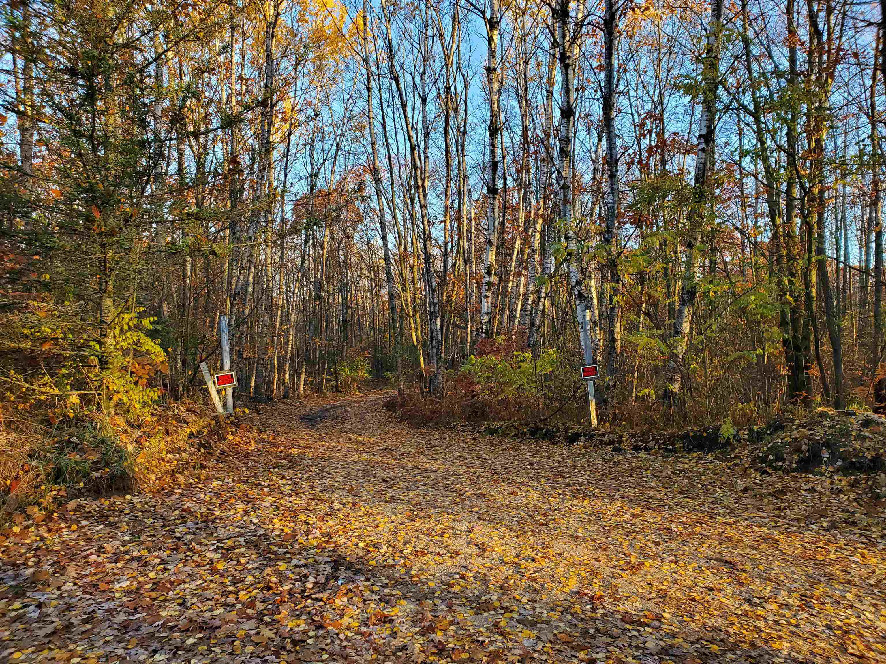9.85-acres 9.85-acres Adams Road Farwell, MI 48622 - Photo 1 of 5
