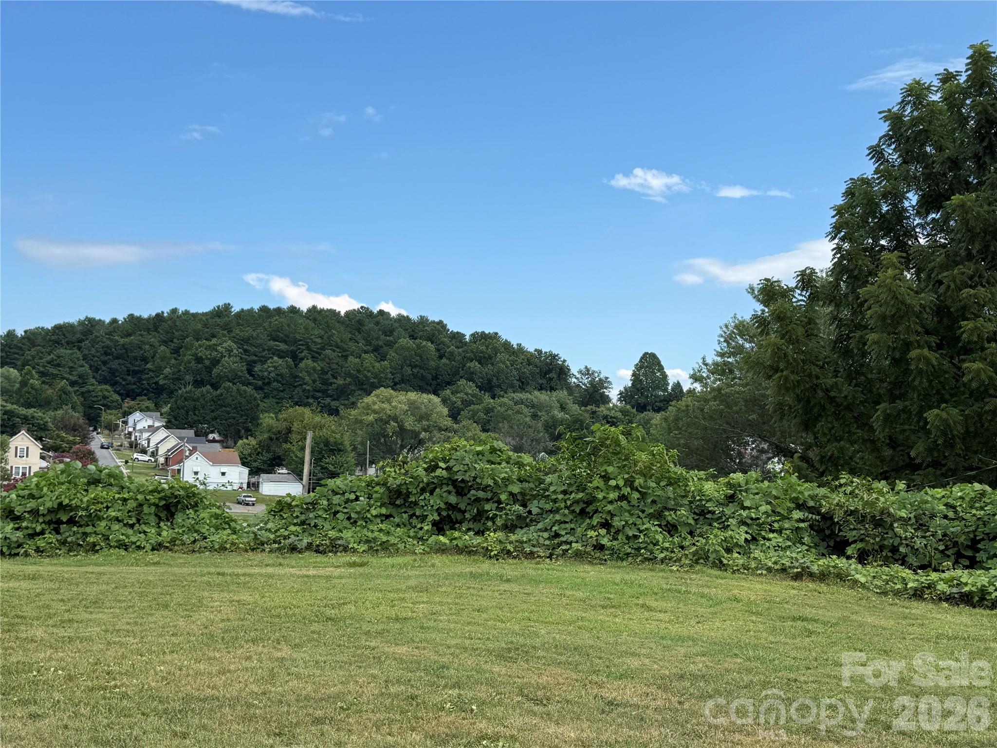 368 Morehead Road Marion, NC 28752 - Photo 2 of 5
