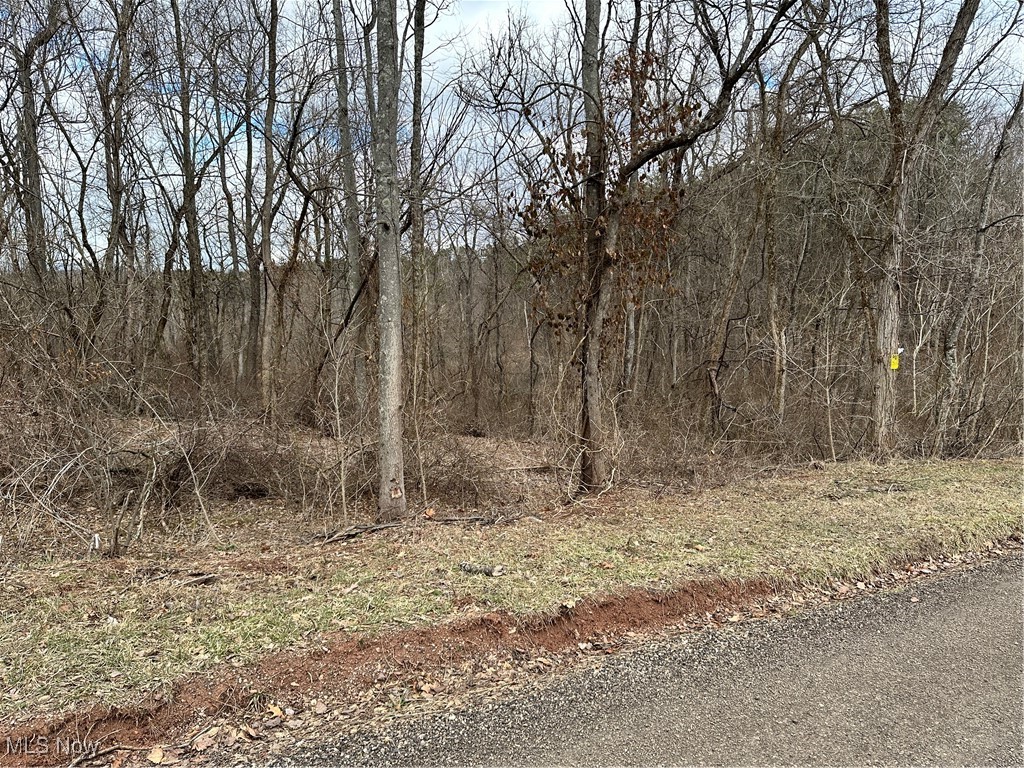 View from road