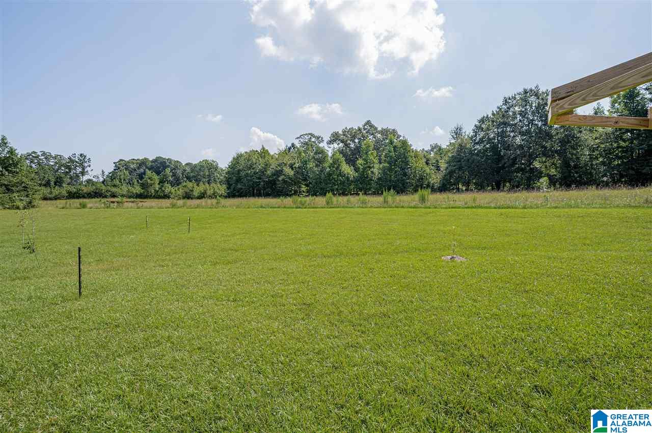 12879 Woodland Lake Road McCalla, AL 35111 - Photo 41 of 43