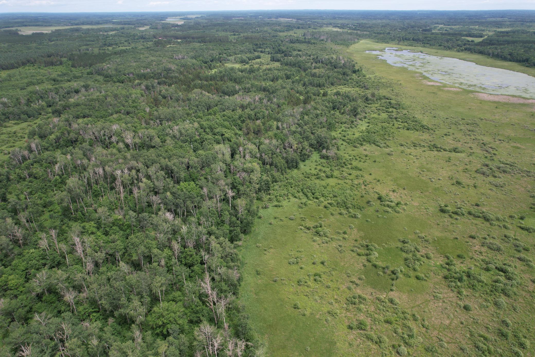 Tbd 350th Street Sebeka, MN 56477 - Photo 14 of 100