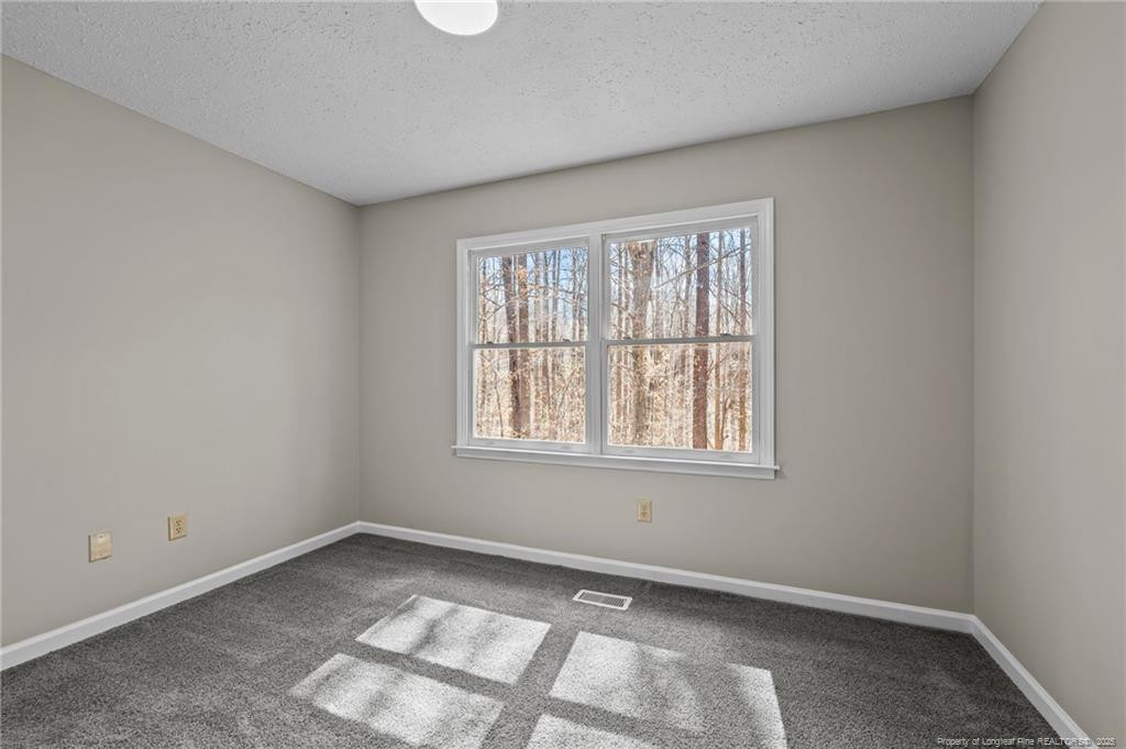 9349 Perry Road Graham, NC 27253 - Photo 13 of 37 Photo 13