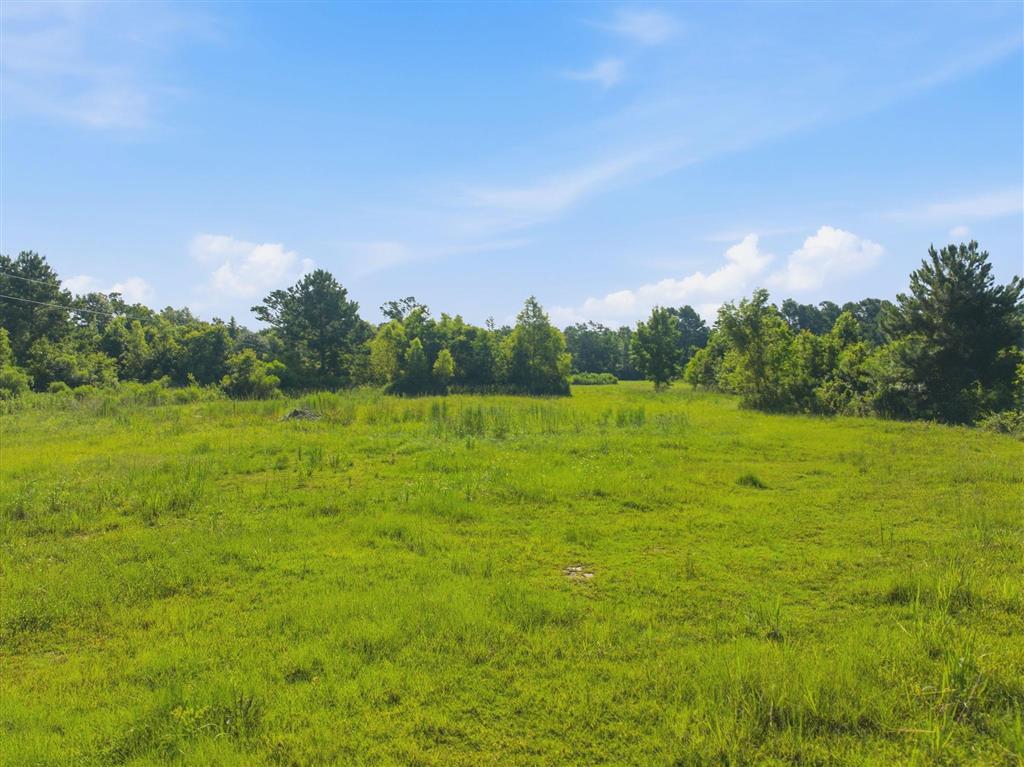 1414 Jackson-Gimnick Loop Ragley, LA 70657 - Photo 1 of 7