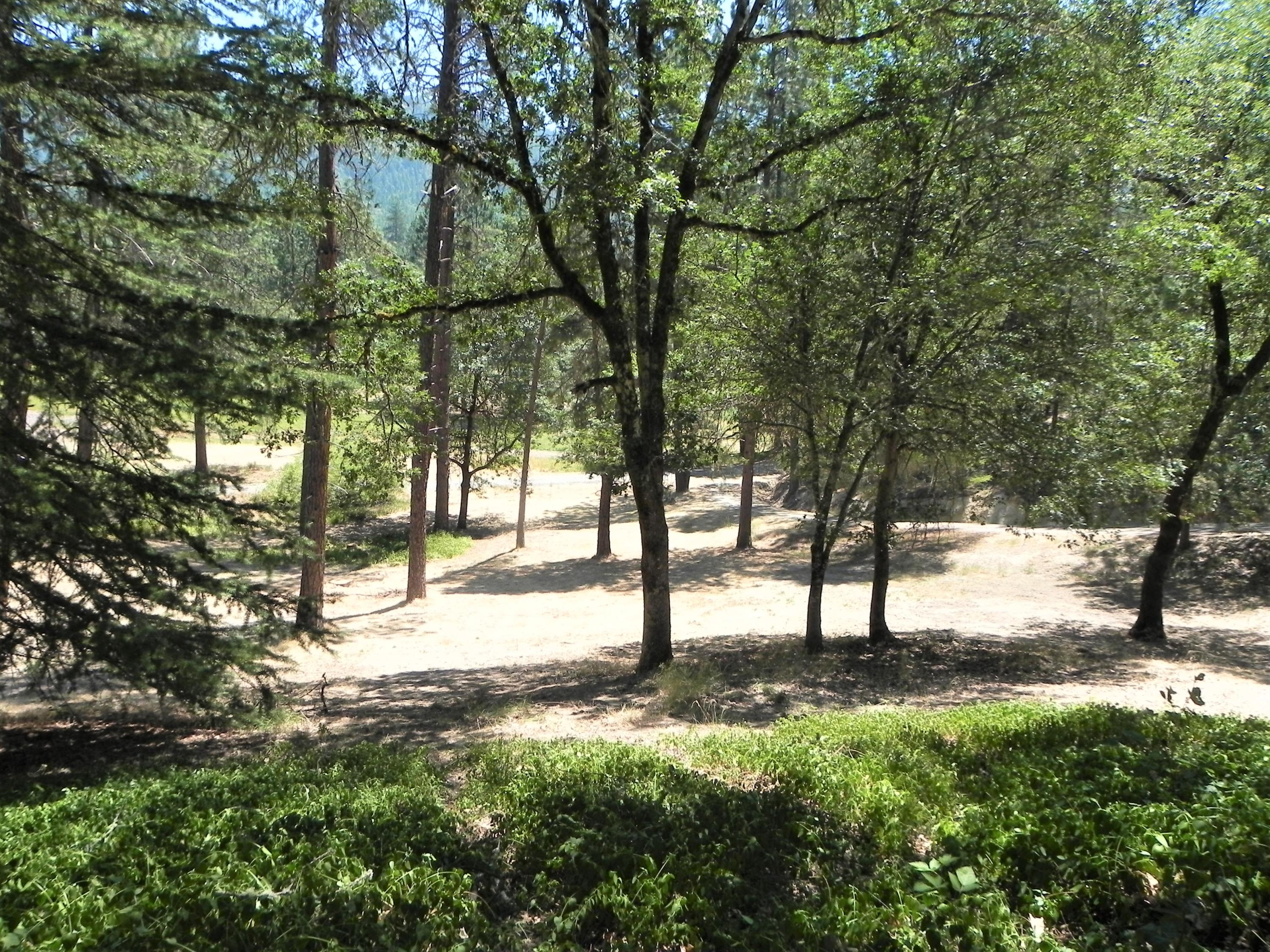 175 Earhart Road Rogue River, OR 97537 - Photo 25 of 28 pasture4 edited