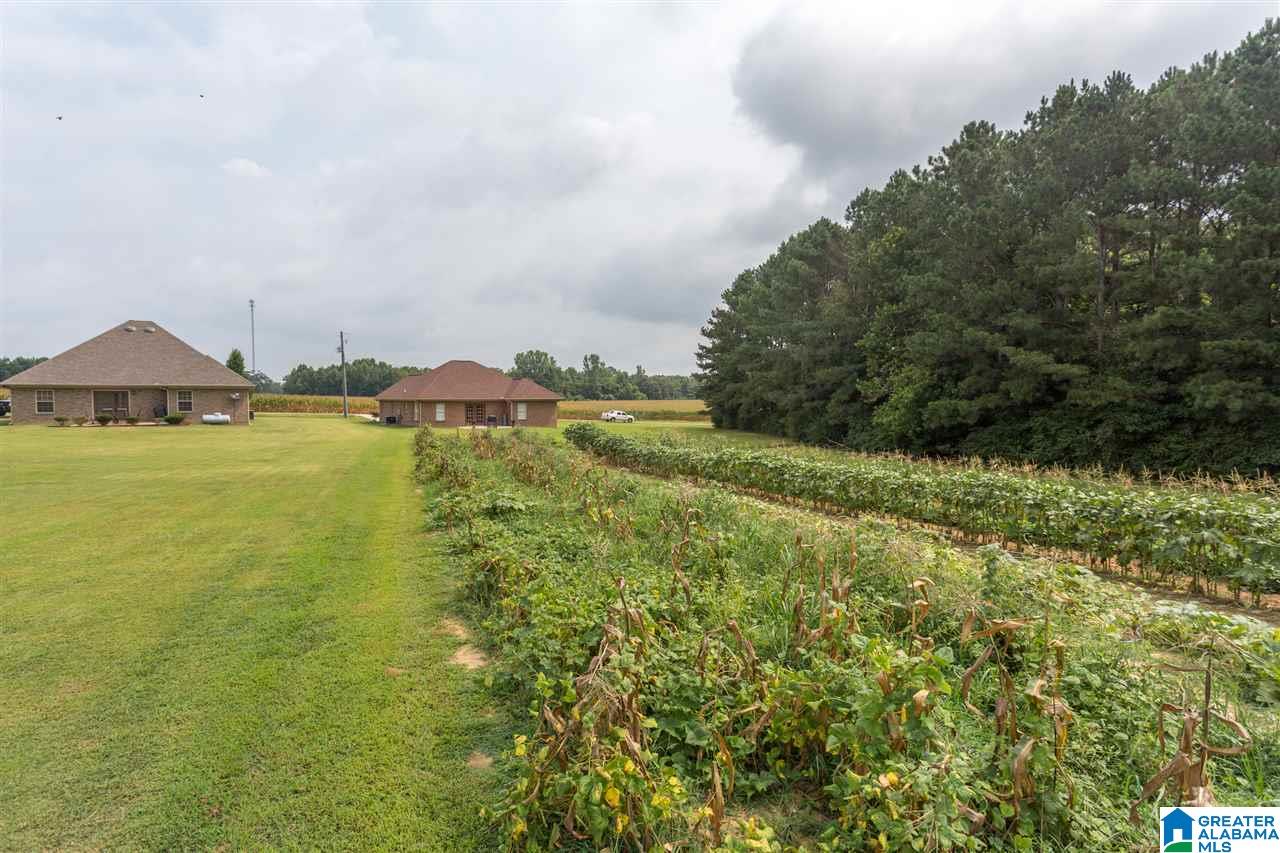 265 Union Point Street Altoona, AL 35952 - Photo 24 of 29