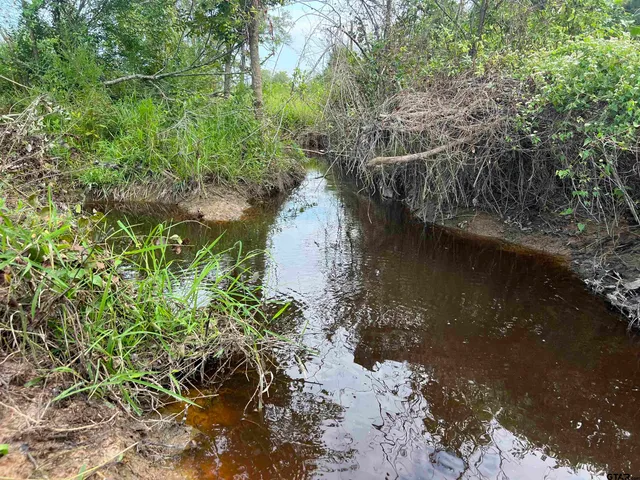 a view of an ocean beach and mountain