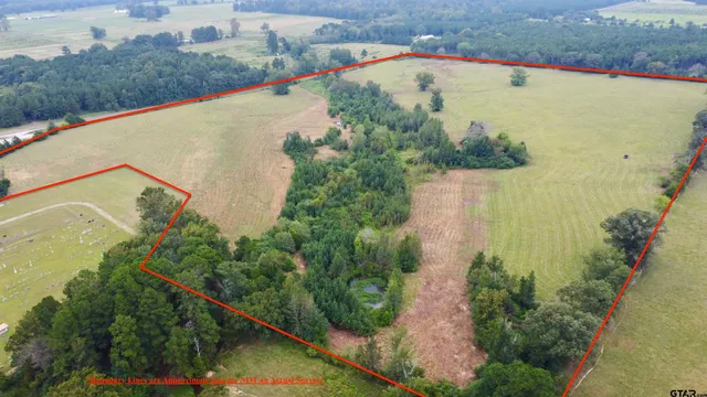 an aerial view of a lush green space