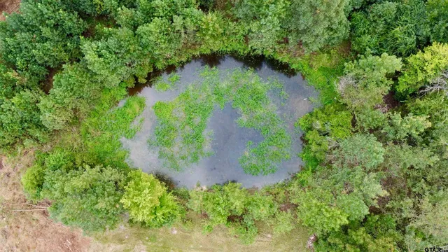 a view of a tennis court