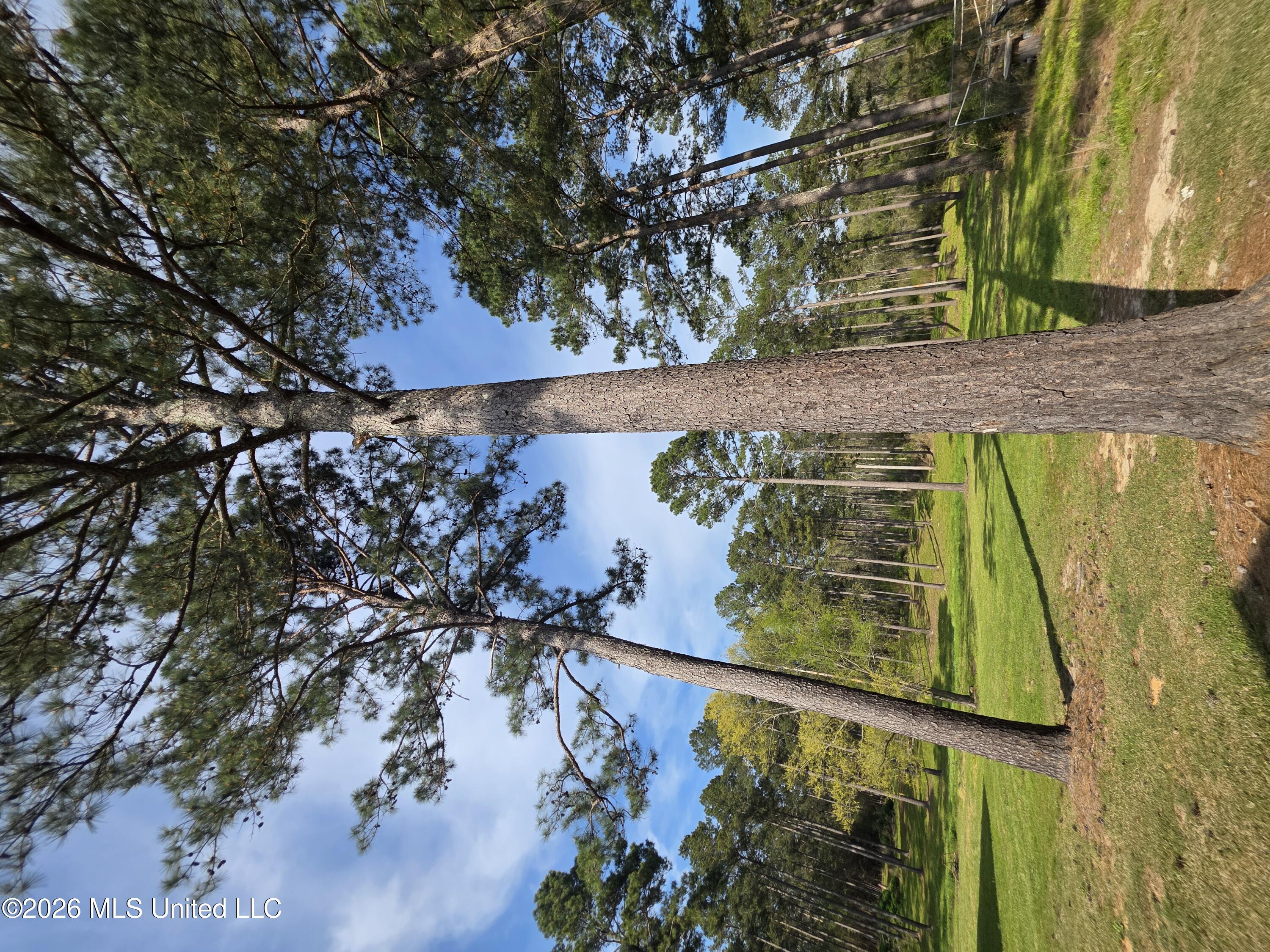 3185 Mound Road Northeast Wesson, MS 39191 - Photo 51 of 58 30005