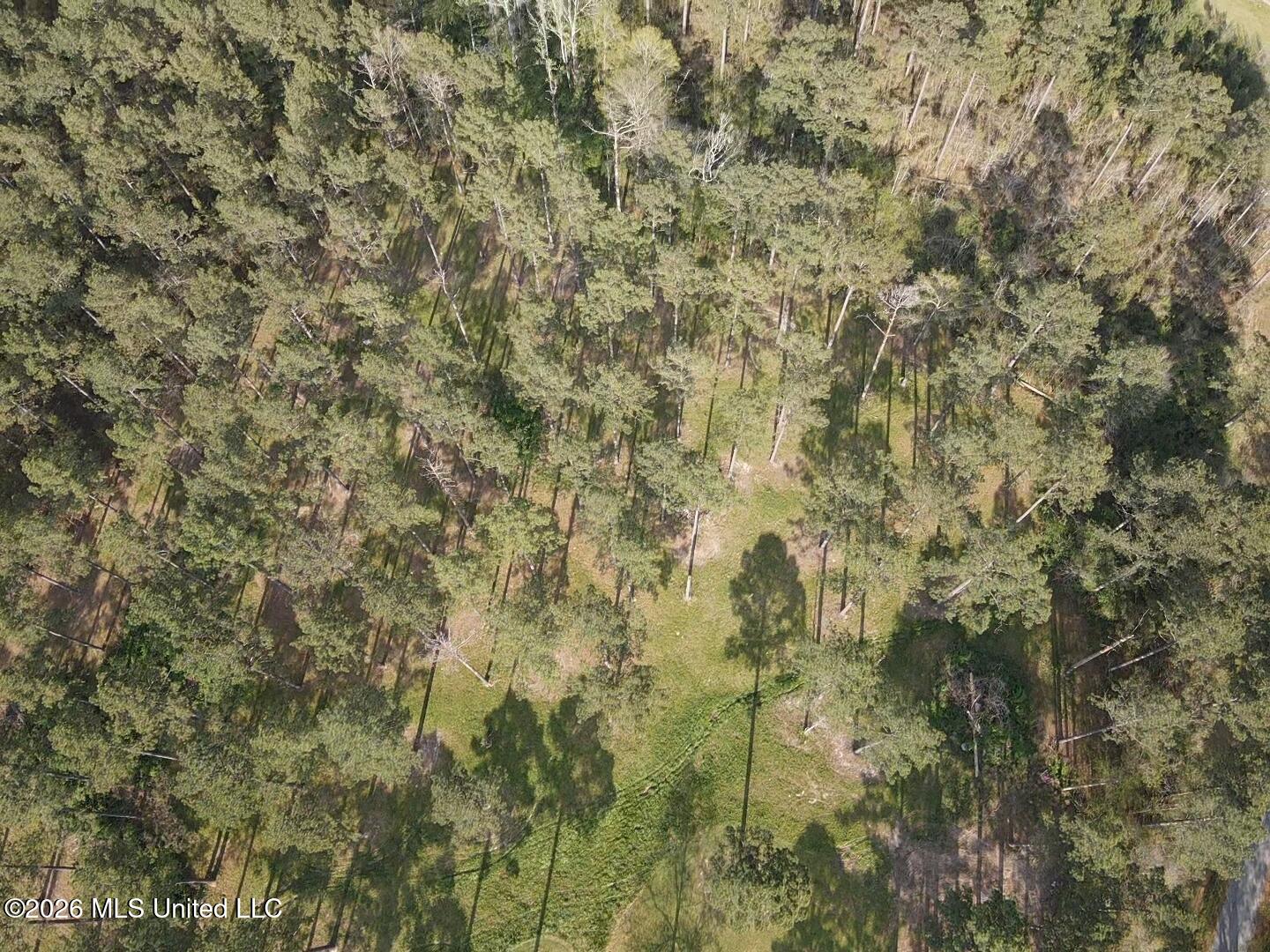 3185 Mound Road Northeast Wesson, MS 39191 - Photo 54 of 58 30017