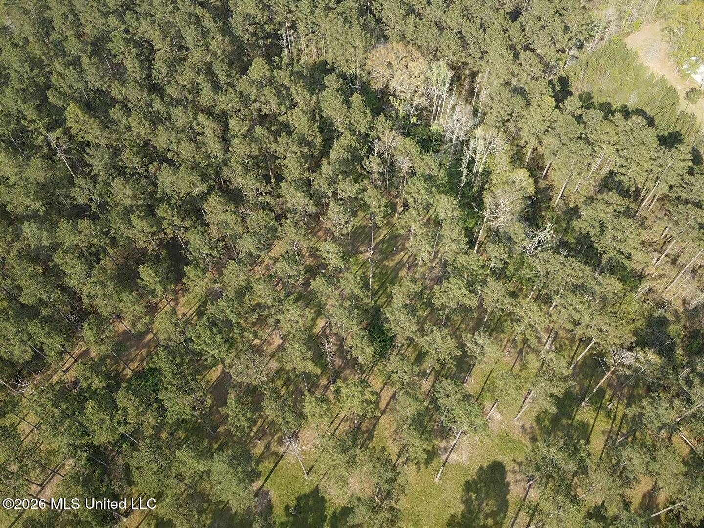 3185 Mound Road Northeast Wesson, MS 39191 - Photo 55 of 58 30018