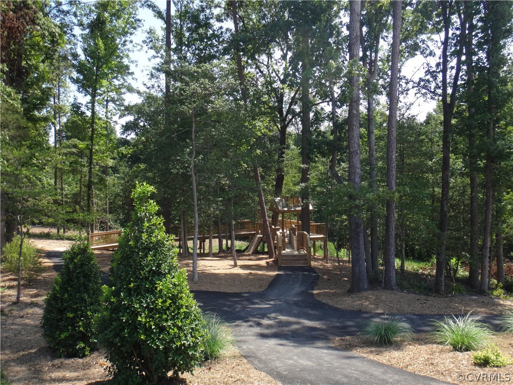 10875 Holman Ridge Road Glen Allen, VA 23059 - Photo 14 of 17 a view of a park with trees and flowers