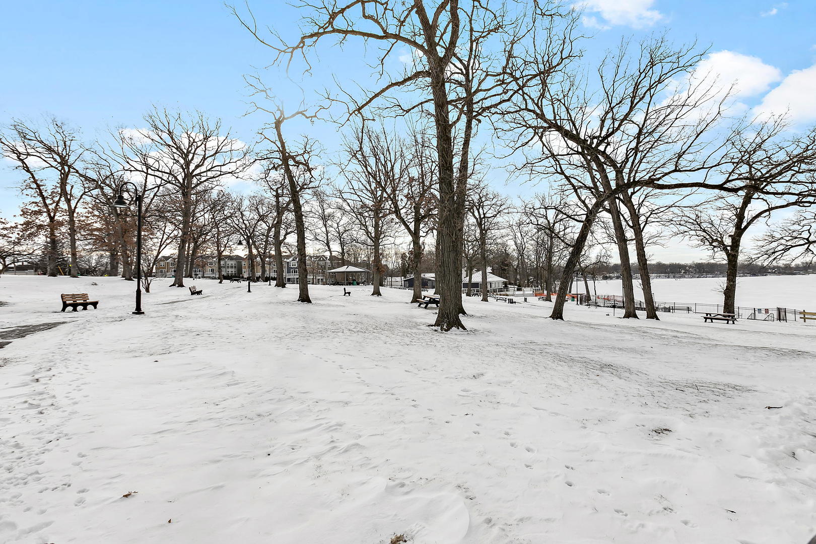 170 North Old Rand Road Lake Zurich, IL 60047 - Photo 28 of 34 a view of road with trees