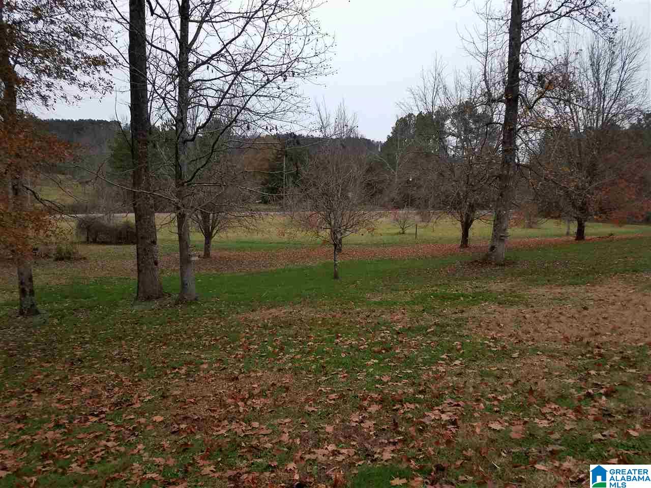 2335 Warrior Valley Road Altoona, AL 35952 - Photo 9 of 42